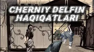 Qora delfin haqiqatlari
