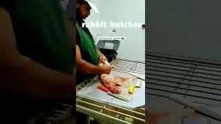 rabbit 🐇 butcher in UAE  | UAE baloch worker 🇦🇪