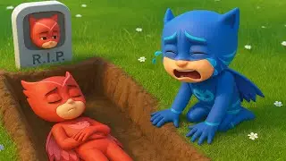 Goodbye OWLETTE... I Will Miss You So Much - Catboy's Life Story - PJ MASKS 2D Animation