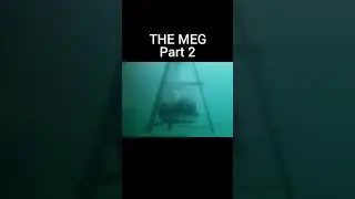 The Meg Part 2 #themeg #megalodon #adventuretime #adventure #shark #movie