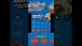 Unleash Endless Fun with the Ultimate Ultra Ball Dog Toy!