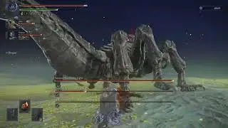 beating everdark gnoster or something - Elden Ring Nightreign