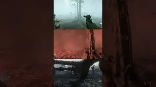 Fog mountains