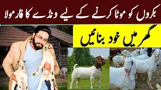 Complete Homemade Feed Formula for Goat Fattening | Make at Home&rdquo;🔹 