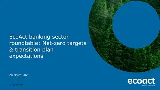 EcoAct banking sector roundtable: Net-zero targets & transition plan expectations