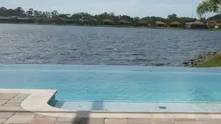 New Pool Construction by Landis Pools - Venice, FL