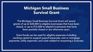 Michigan Small Business Survival Grant | Application Walkthrough