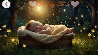 Sleepy Time Music for Baby&rsquo;s Rest - 아기의 휴식을 위한 졸린 시간 음악