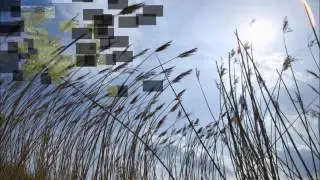 Copt Hall Marshes  Website movie