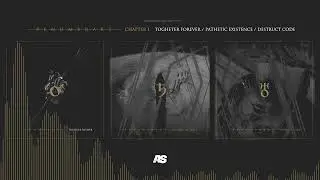 PENUMBRART - Chapter I #MIX (Togheter Forever / Pathetic Existence / Destruct Code)