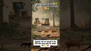 HCU animals death Hyderabad #animals #viralvideo
