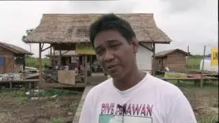 Activists Say Forest Fires in Indonesia Threaten the World