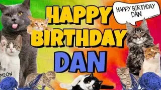 Happy Birthday Dan! Crazy Cats Say Happy Birthday Dan (Very Funny)