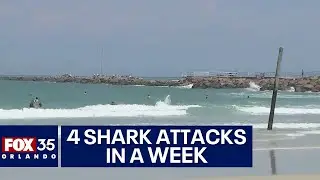Four shark attacks in a week at Central Florida beaches