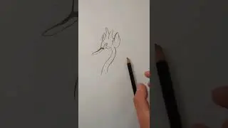 COMO DESENHAR O POK&Eacute;MON SWANNA #SWANNA #POK&Eacute;MON