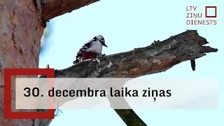 30. decembra laika ziņas