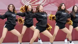 【川崎ブレイブサンダース】240324 サンダーススクエア ステージ ①（Let's Go Gaja）