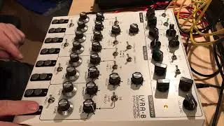 Lyra-8 Organismic Synthesizer