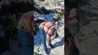 Nanital funny video #travel #nanital #love #music #funnyvideo #funnyshorts #bikeride #entertainment