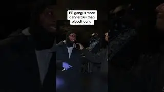 Interview with the infamous pp gang