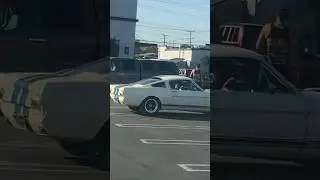 Super rare mustang gt 350 spotted at car meet #losangeles #producer #subscribe #mustang gt350