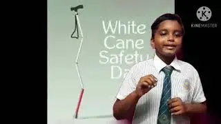 Oct 15th - World White Cane Day