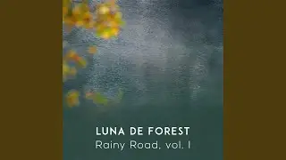 New Dreams & Rainy Road