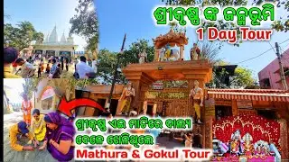 ଆସନ୍ତୁ ଯିବା ମଥୁରା ରେ ଥିବା କିଛି  ପ୍ରମୁଖ ମନ୍ଦିର | Vrindavan Mathura TOUR EPISODE 6 | The Ripan Blogger