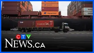 Canadian merchandise exports fell dramatically in November, Stats Can sats