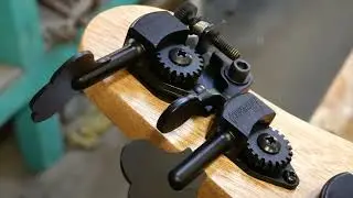 T Bird bass build - Day 14