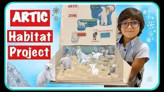 Habitat project kids || Artic project || Science  project