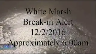Yummery Break In