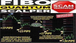Fibo Quantum Scalper system scam