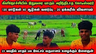 மாதம் பல இலட்சம் உழைக்கும் 23 வயது இளைஞன்🐄கிளிநொச்சி மண்ணில் யாரும் அறியாத கோடீஸ்வரர்👍