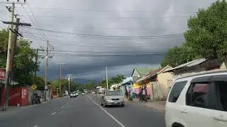 Maxfield Avenue | Kingston
