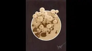Pyrography   How to Burn Paper 2 0
