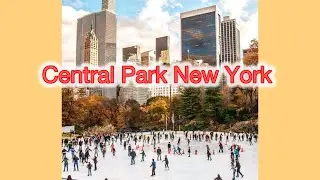 Central Park New York City live🕹️🕹️لايف مباشر من نيويورك