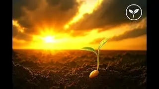 What steps help me build a permanent Christian character? Christian Questions, Moments that Matter