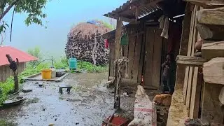 Harsh Life in the Jungle | Real Survival Far From Civilization