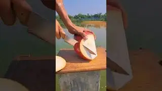 coconut #coconut #trendingshorts #coconut #Redcoconut