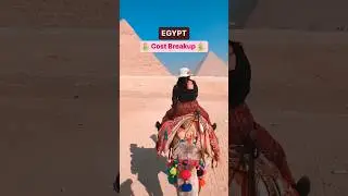 Egypt is not cheap! 🤷 Cost breakdown for your trip! #shorts #egypttravel #travel #budgettravel
