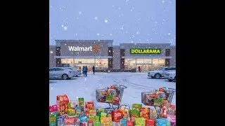 Shopping in the Snow! ❄️ Walmart + Dollarama Haul 🛒💸