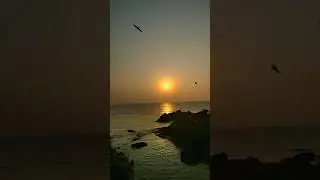 sunset 🌅#sunset#beach #travel #nature #emotional #whatsappstatus #birds