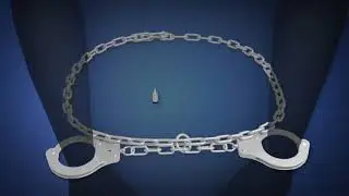 Prisoner Restraint System