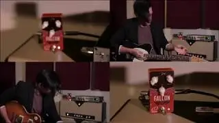Crazy Tube Circuits Falcon Overdrive