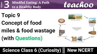 Chapter 3 Class 6 Science - Curiosity - Topic 9 - Concept of food miles and food wastage (NCERT Qs)