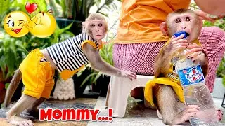 Как Мон и Кака заботились о маме?