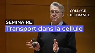 Transport dans la cellule (2) - Jean-François Joanny (2025-2026)