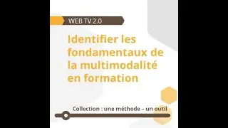 Identifier les fondamentaux de la multimodalit&eacute; en formation