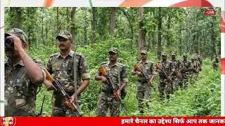 31 january 2026 छत्तीसगढ़ की ताजा खबर । CG News । Raipur News Today । Chhattisgarh News Today